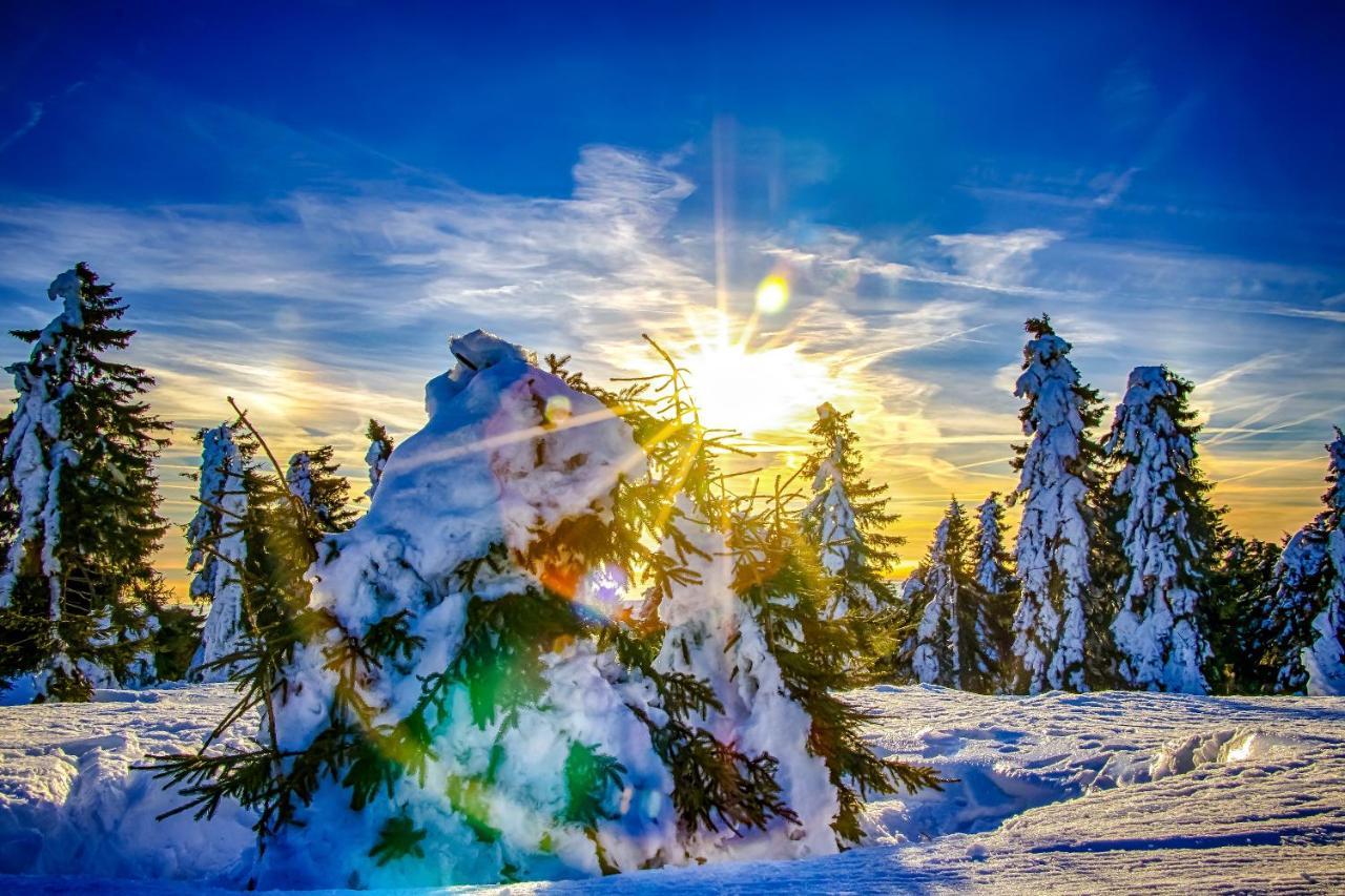 Apartmany Vista Klinovec Loučná pod Klínovcem Bagian luar foto