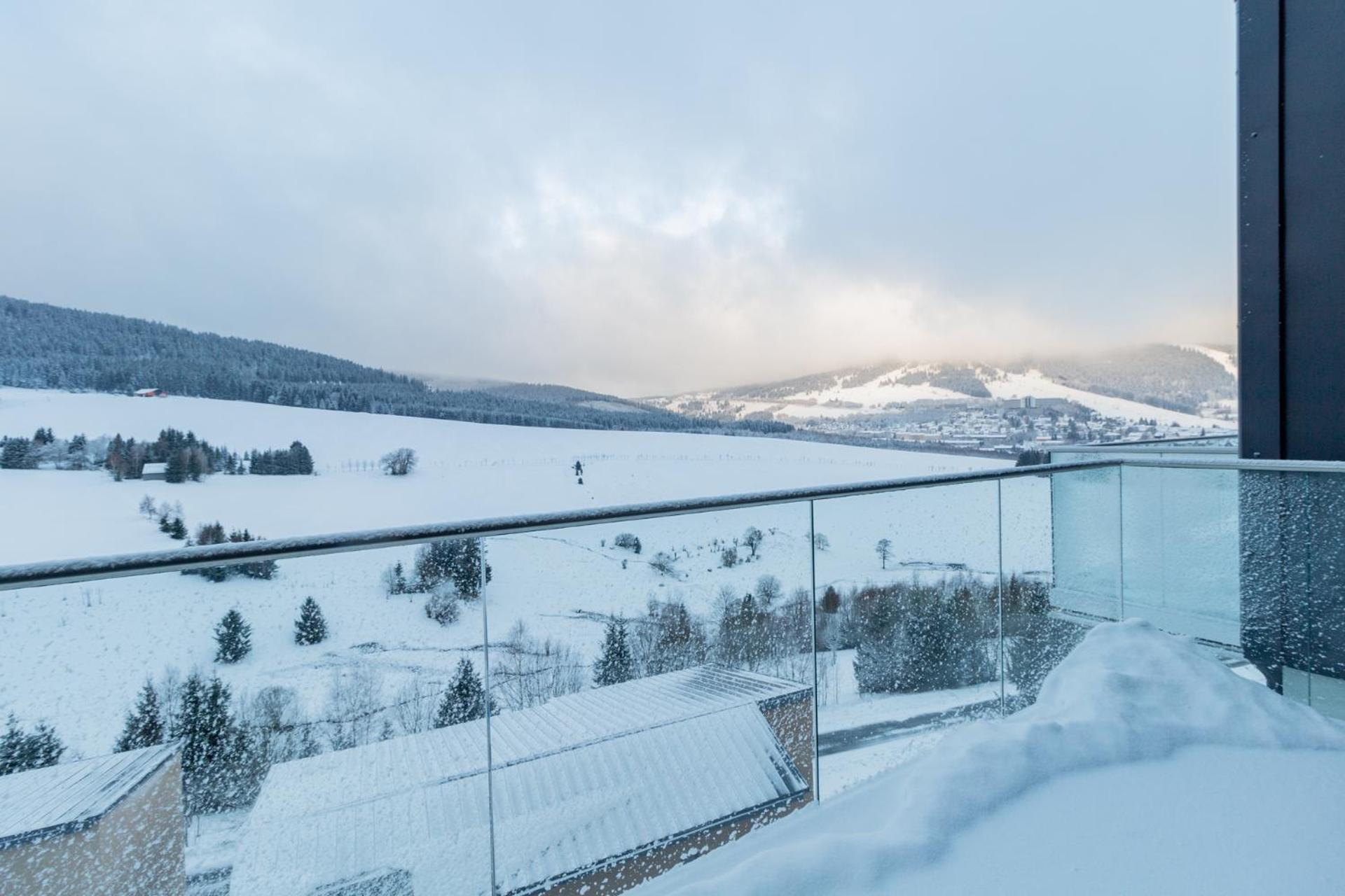 Apartmany Vista Klinovec Loučná pod Klínovcem Bagian luar foto